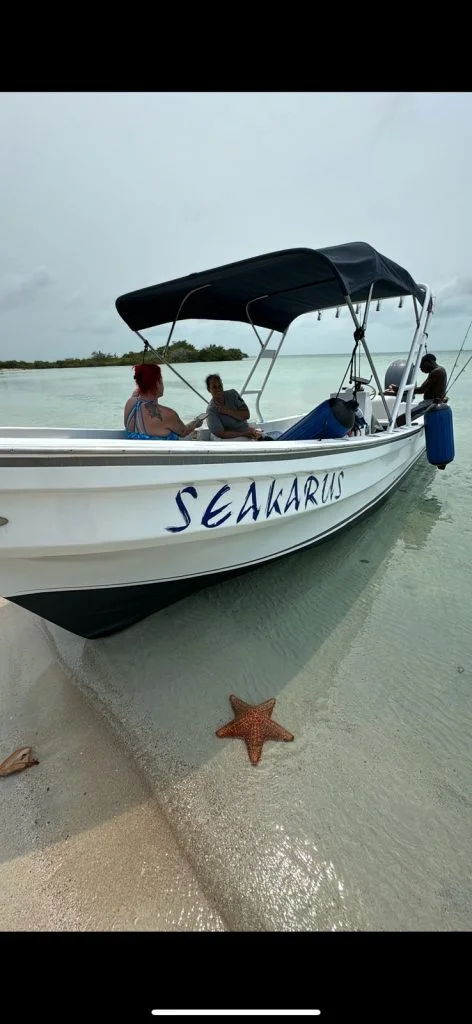 Seakarus boat at the beach