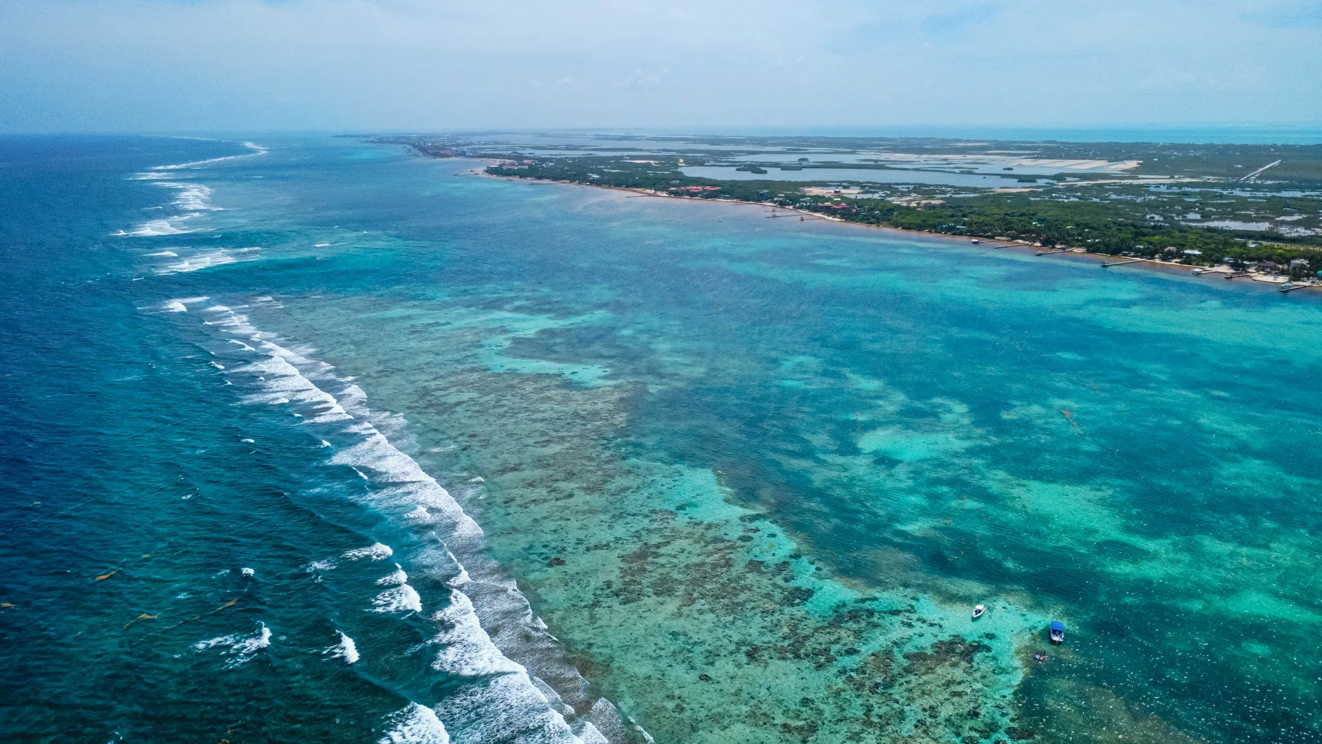 The reef and coastline from above