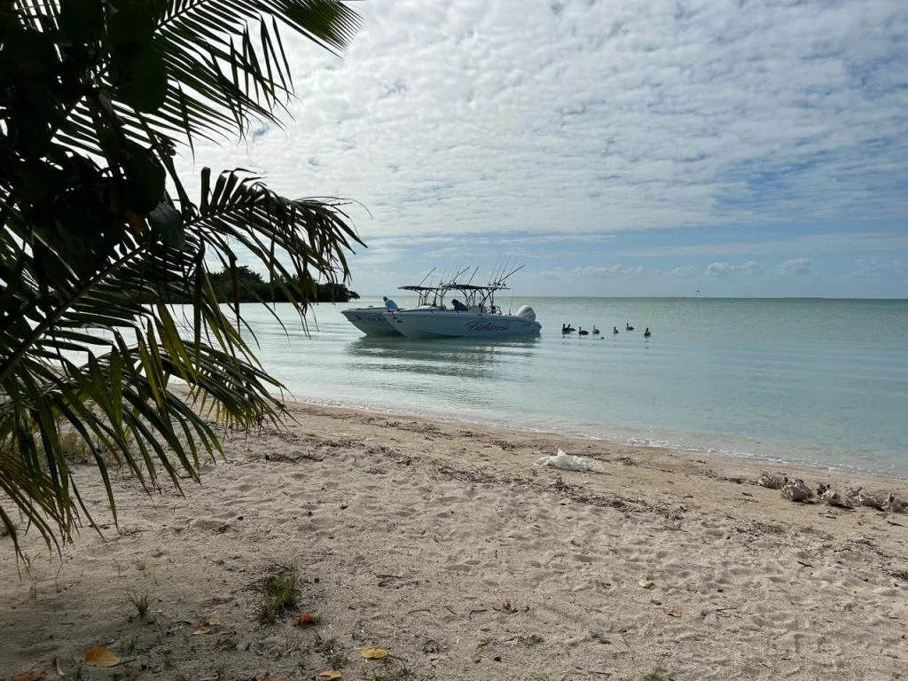 A quiet stretch of island shoreline