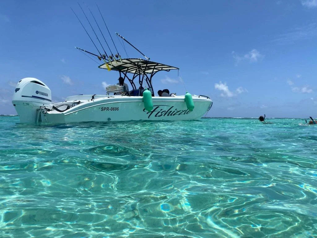Fishizzle in the clear shallows
